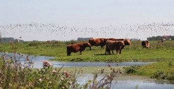 Geniet van de natuur